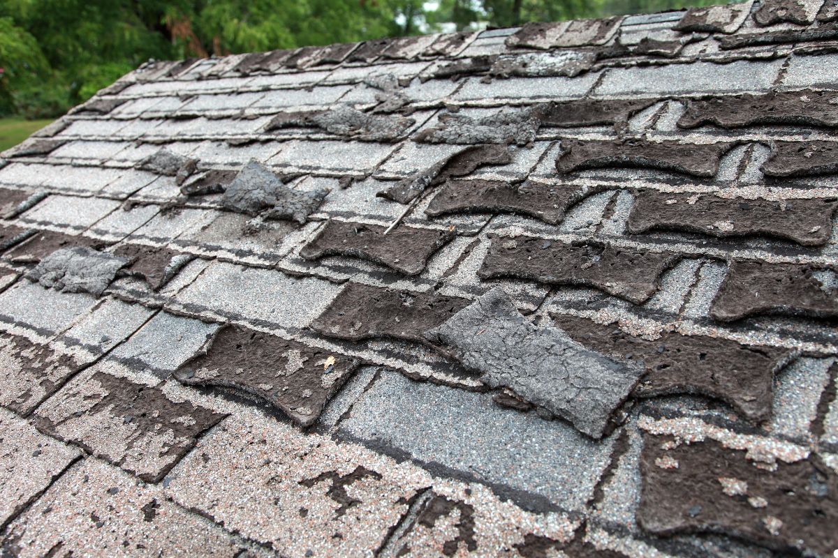 A close-up of a roof showing numerous damaged shingles, highlighting wear and tear from weather exposure.